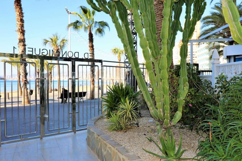 Luxurious 2-Bedroom Apt With Stunning Views, 1St Line On Levante Beach, Benidorm Extérieur photo